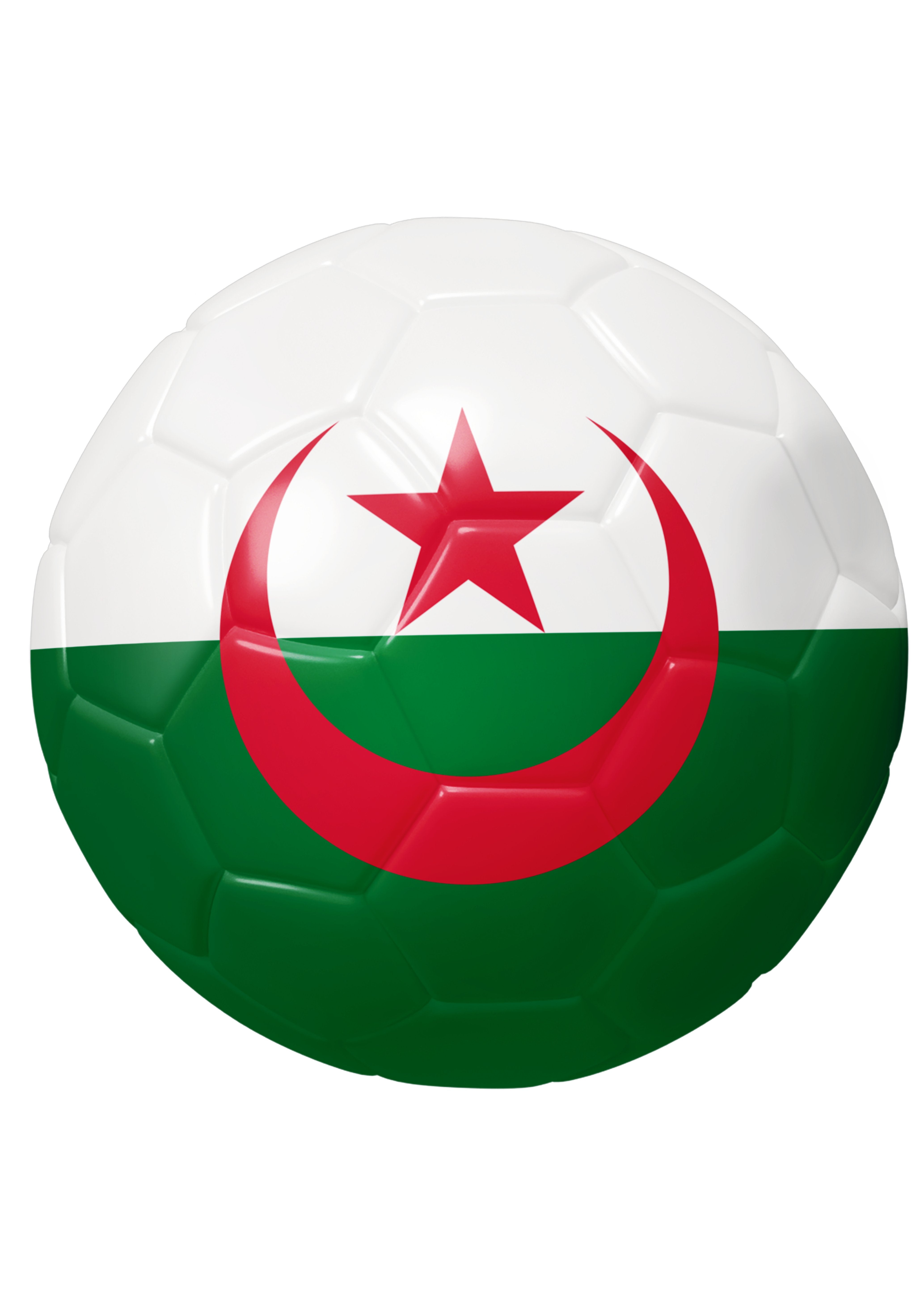 The 48 Collection: Algeria Tee — White