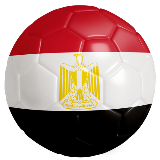 The 48 Collection: Egypt AU Tee — Black