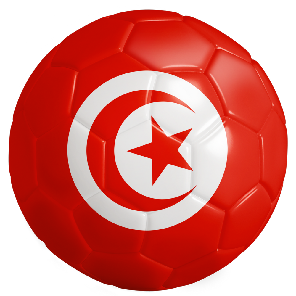 The 48 Collection: Tunisia AU Tee — Black